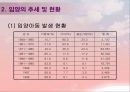 입양의 정의 및 현황 입양 가족의 문제점과 복지대책 13페이지