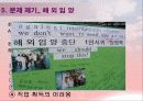 입양의 정의 및 현황 입양 가족의 문제점과 복지대책 26페이지