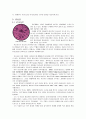 전통발효식품학-발효유 4페이지
