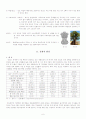 (국제 마케팅과 무역) 인도의 인구·경제·사회·문화적 환경 분석 6페이지