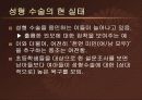 성형수술의 유래와 현 실태 분석 및 원인규명 & 사례와 토론 15페이지