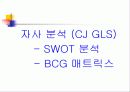 [마케팅]CJ GLS의 마케팅 전략분석 15페이지