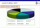 [마케팅]CJ GLS의 마케팅 전략분석 22페이지