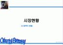[마케팅]OB맥주 마케팅사례분석 20페이지
