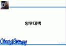 [마케팅]OB맥주 마케팅사례분석 52페이지