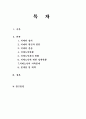 [노인복지실태]치매의 정의와 원인 그리고 정책현황과 문제점 및 대책 2페이지