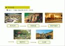 [국제회의]국제회의 기획서 28페이지