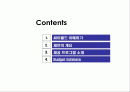 [마케팅]싸이월드 미니홈피 광고제안 2페이지