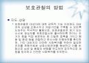 비행청소년 복지 현황과 처우 28페이지