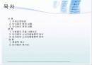 성공한 포털싸이트 네이버와 마이엠 비교 2페이지