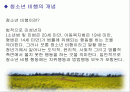 청소년 비행 문제의 다양한 원인과 예방대책 2페이지