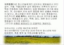 청소년 비행 문제의 다양한 원인과 예방대책 3페이지