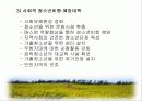 청소년 비행 문제의 다양한 원인과 예방대책 8페이지
