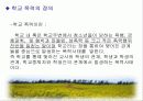 청소년 비행 문제의 다양한 원인과 예방대책 9페이지