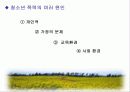 청소년 비행 문제의 다양한 원인과 예방대책 10페이지