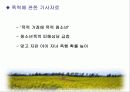 청소년 비행 문제의 다양한 원인과 예방대책 11페이지