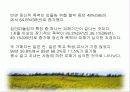 청소년 비행 문제의 다양한 원인과 예방대책 13페이지