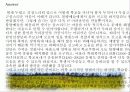 청소년 비행 문제의 다양한 원인과 예방대책 16페이지
