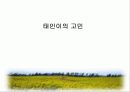 청소년 비행 문제의 다양한 원인과 예방대책 17페이지