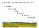 청소년 비행 문제의 다양한 원인과 예방대책 28페이지