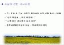 청소년 비행 문제의 다양한 원인과 예방대책 29페이지