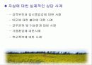 청소년 비행 문제의 다양한 원인과 예방대책 31페이지