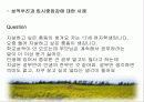 청소년 비행 문제의 다양한 원인과 예방대책 32페이지