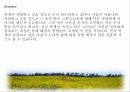 청소년 비행 문제의 다양한 원인과 예방대책 33페이지