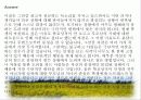 청소년 비행 문제의 다양한 원인과 예방대책 34페이지
