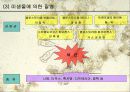 미생물에 의한 질병-파워포인트 8페이지