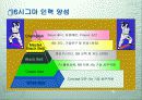 6시그마 경영 9페이지