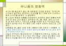 대한 항공 분석 25페이지