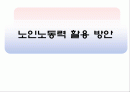 노인노동력 활용 방안 1페이지