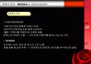 미샤 광고 분석 및 평가 14페이지