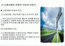결혼 문화의 변화 17페이지