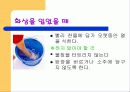 응급처치파워포인트 8페이지