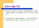 응급처치파워포인트 17페이지