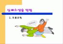 응급처치파워포인트 20페이지