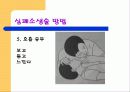응급처치파워포인트 23페이지