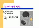 응급처치파워포인트 24페이지