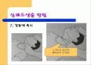 응급처치파워포인트 25페이지