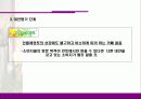 [마케팅]민들레영토 마케팅분석 14페이지