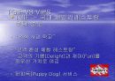 [마케팅]외식 브랜드 비교 8페이지