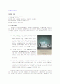 (텔레메틱스에 대한 이해와 마케팅 성공 사례 분석) 현대 모비스 eXride의 마케팅 성공 사례 19페이지