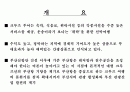 크루저 여행 가상 분석안 2페이지