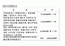 크루저 여행 가상 분석안 15페이지