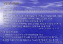비정규직 정규직 여성현황과 문제점 11페이지