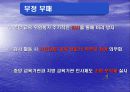지방교육자치 교육행정 이원화에 따른 문제점 개선방안 사례위주 8페이지
