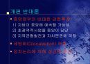 지방 행정체제 개편에 관한 논의- 축소개편 및 단층제 개편을 중심으로 - 8페이지