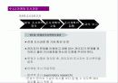 마케팅 전략 분석 - 일본 음반산업의 실태와 BoA 보아의 일본시장 진출 성공사례 분석 5페이지